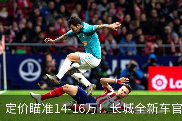 定价瞄准14-16万！长城全新车官宣，年内就能买到