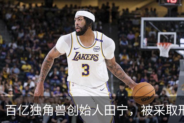 百亿独角兽创始人田宁，被采取刑事强制措施！他浙大毕业创办盘石，曾和阿里妈妈、百度联盟并称“网站联盟三巨头”，公司股东明星机构云集