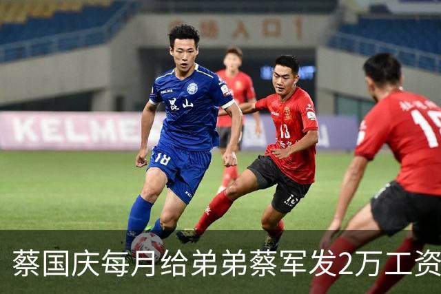 蔡国庆每月给弟弟蔡军发2万工资，发了20年一共480万，条件就一个