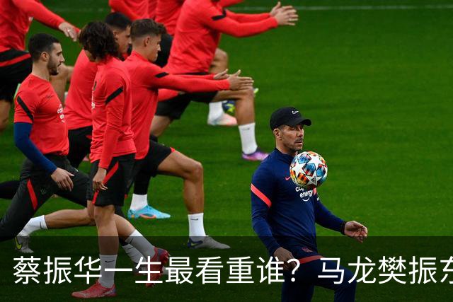 蔡振华一生最看重谁？马龙樊振东都落选，保国乒长青的底牌终揭晓