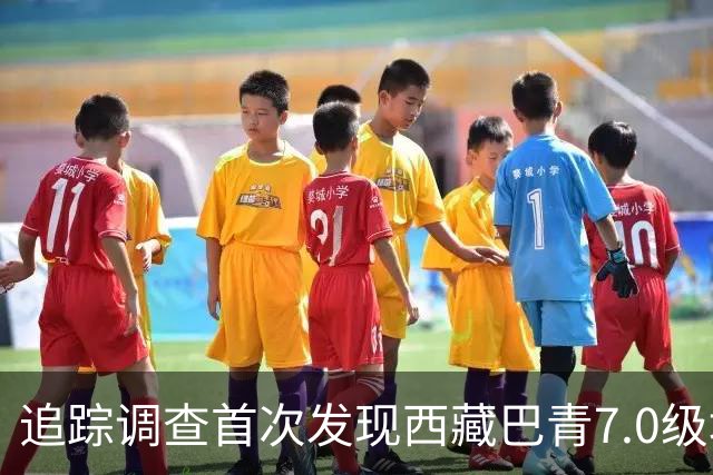 追踪调查首次发现西藏巴青7.0级地震地表破裂带