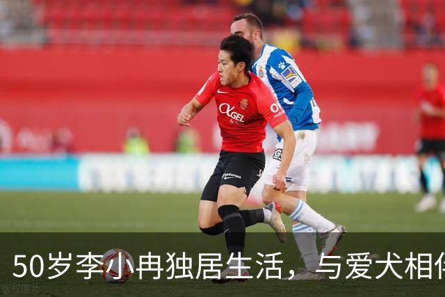 50岁李小冉独居生活，与爱犬相伴自在度日