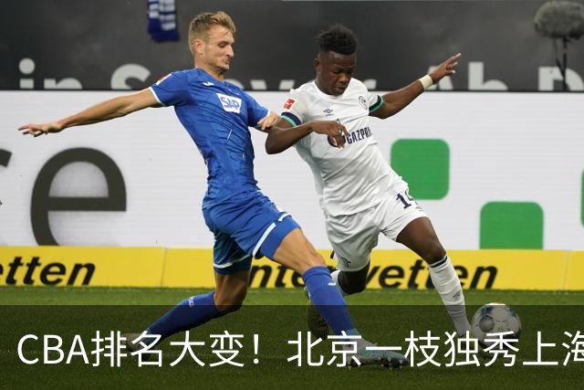 CBA排名大变！北京一枝独秀上海第3，辽宁第4广东第15，新疆连败宁波一胜难求
